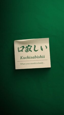 Kitty Kat Single Pill for Female Sexual Enhancement plus 4 Samples Party Kit 711841806484