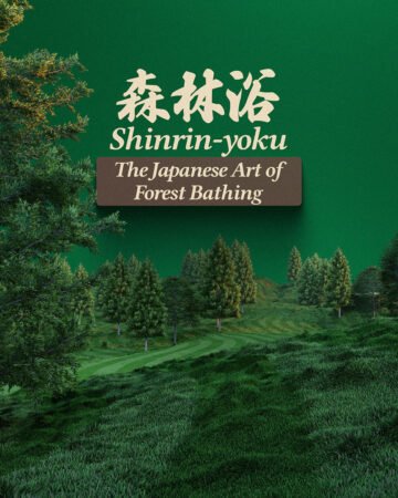 Shinrin-Yoku: The Japanese Art of Forest Bathing and How It Can Benefit You 🌲✨