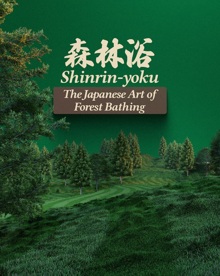 Shinrin-Yoku: The Japanese Art of Forest Bathing and How It Can Benefit ...