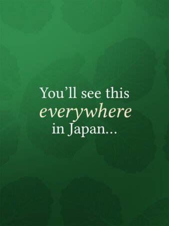 Why Cabbage Is Everywhere in Japanese Food 👀
